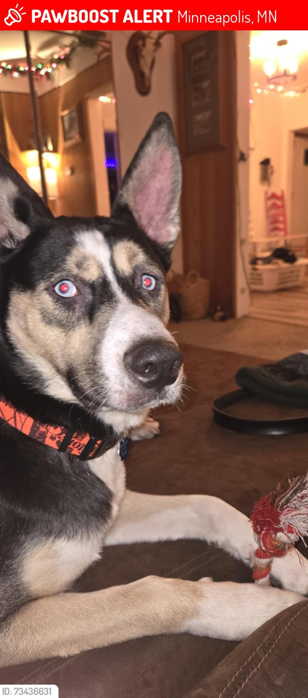 Lost Male Dog last seen 61st and Portland ave, South Minneapolis MN, Minneapolis, MN 55417