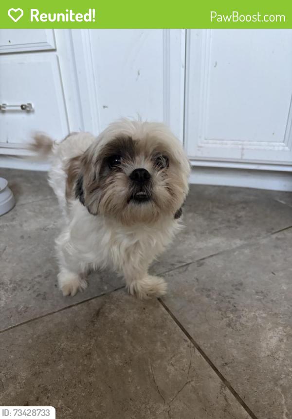 Reunited Female Dog last seen 51st Ave & Leodra Lane, Phoenix, AZ 85339
