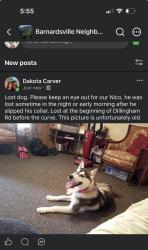 Lost Male Dog last seen Near Dillingham Rd, Barnardsville, NC 28709
