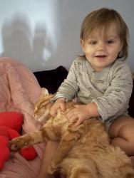 Lost Male Cat last seen Twice daily Columbia Tennessee, Columbia, TN 38401