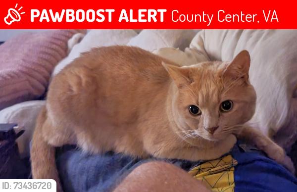 Lost Male Cat last seen Occoquan Club and Bacon Race road, County Center, VA 22192