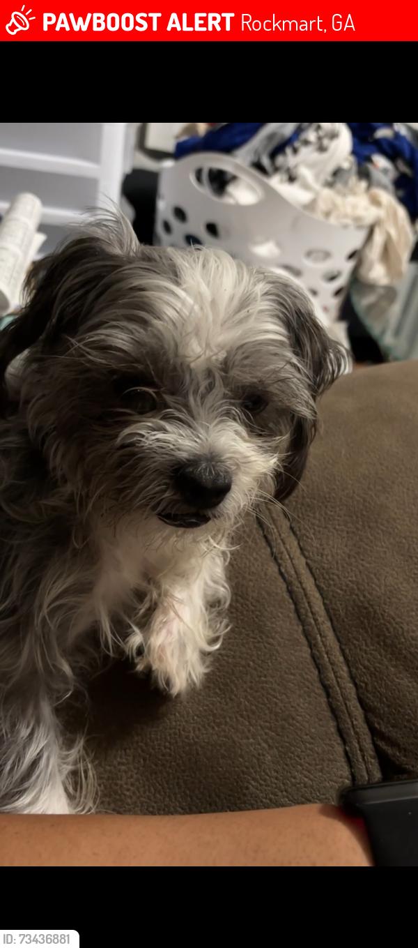 Lost Male Dog last seen Old Cartersville Rd & Braswell Rd, Rockmart, GA 30153
