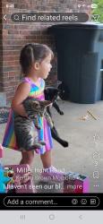 Lost Male Cat last seen Miller Hunt and 15, Winchester, KY 40391