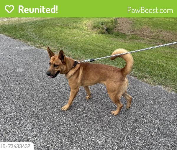 Reunited Male Dog last seen Avenue M 1/2 and 24th, Santa Fe, TX 77510