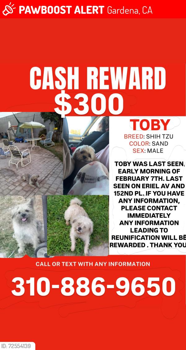 Lost Male Dog last seen Crenshaw/Marine - El Camino Village Area, Gardena, CA 90249