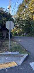 Found/Stray Male Dog last seen Folsom and Kenyon, Knoxville, TN 37917
