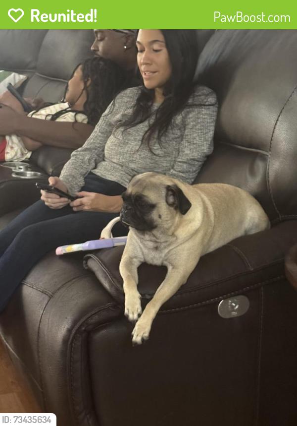 Reunited Female Dog last seen Papago st and Yuma, Goodyear, AZ 85338