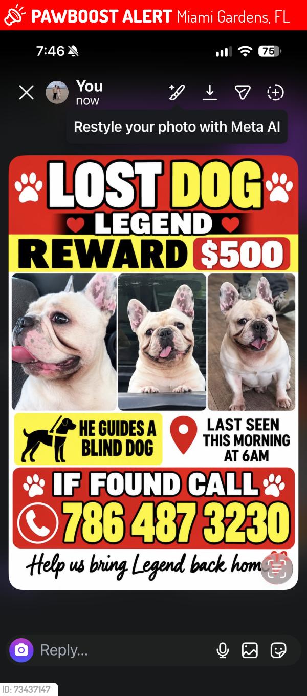 Lost Male Dog last seen Northwest 180 Terrace, Miami Gardens, FL, USA, Miami Gardens, FL 33056