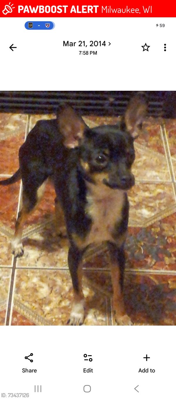 Lost Female Dog last seen 35st, Milwaukee, WI 53215