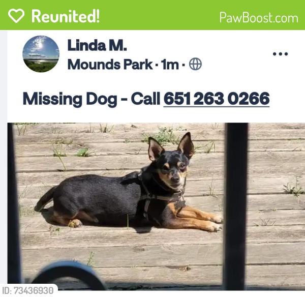 Reunited Male Dog last seen Clermont, Saint Paul, MN 55106