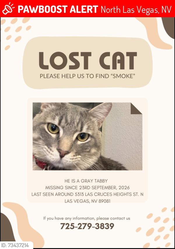 Lost Male Cat last seen Las Cruces height st, North Las Vegas, NV 89081