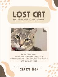Lost Male Cat last seen Las Cruces height st, North Las Vegas, NV 89081