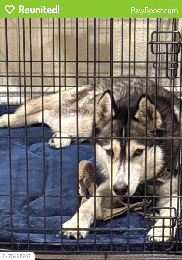 Reunited Unknown Dog last seen Jollyman park, Cupertino, CA 95014