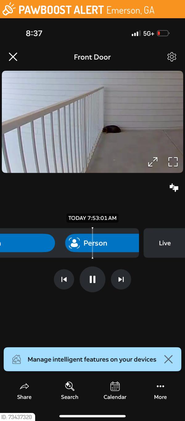 Found/Stray Unknown Cat last seen in the apmt, Emerson, GA 30137