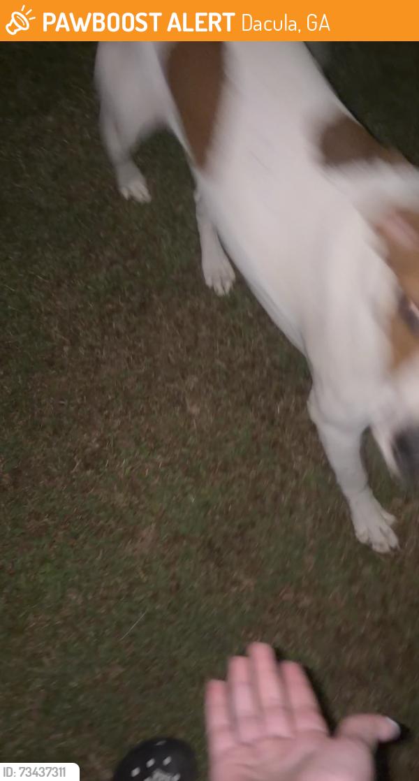 Found/Stray Unknown Dog last seen maxey 314, Dacula, GA 30019