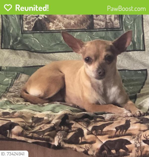 Reunited Female Dog last seen Roseberry Dr, La Porte, TX 77571