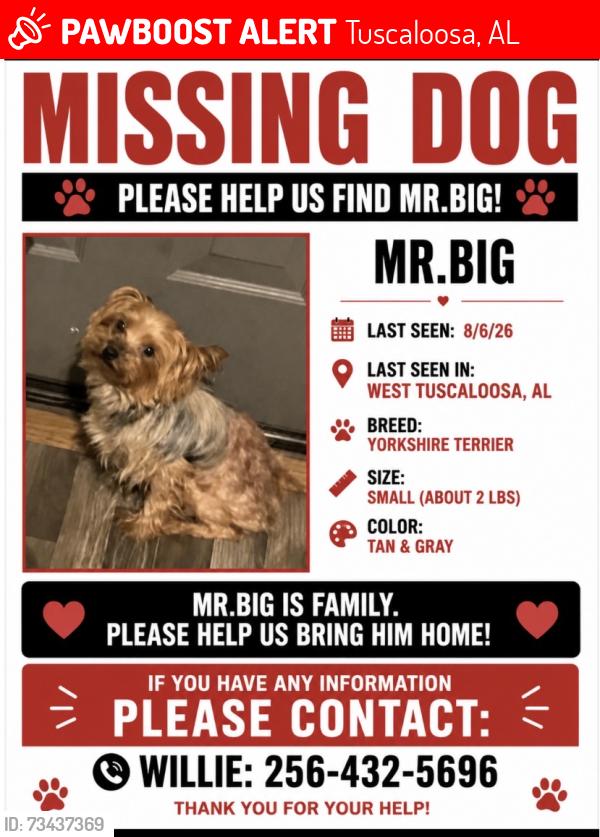 Lost Male Dog last seen 35th, Tuscaloosa, AL 35401