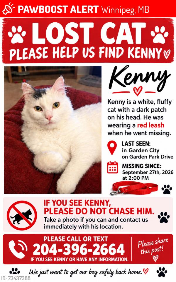 Lost Male Cat last seen Garden City, Winnipeg, MB 