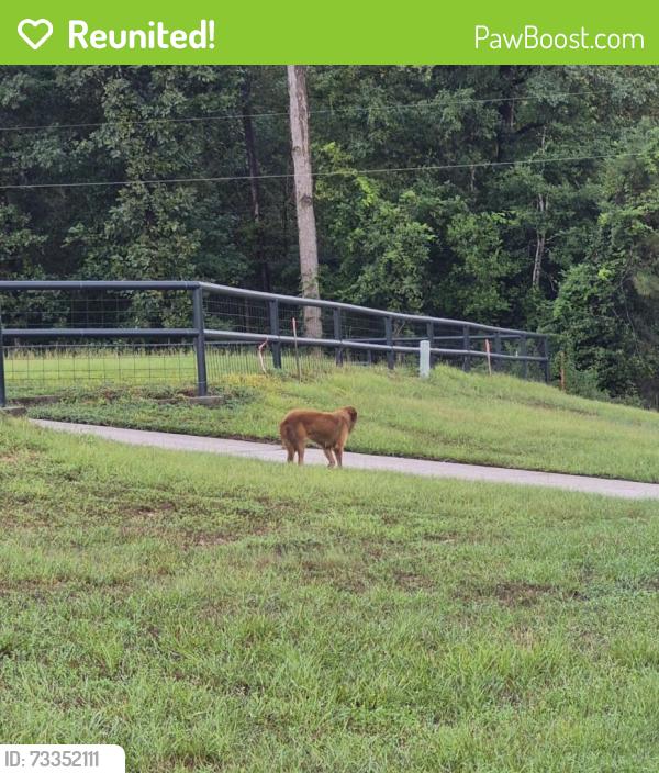 Reunited Unknown Dog last seen FM 2025 and Hickman Creek Dr, Cleveland, TX 77328