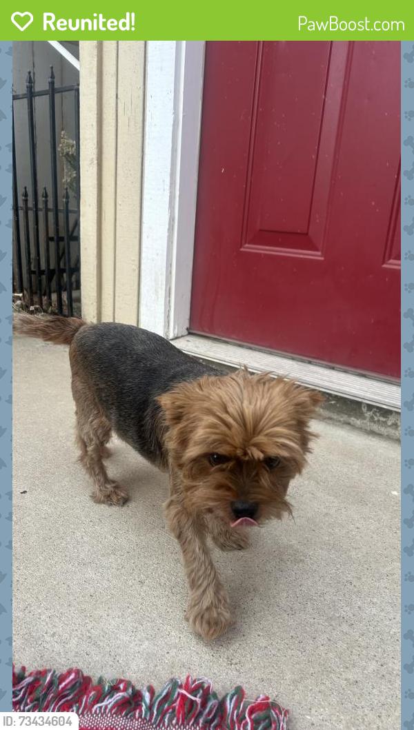 Reunited Female Dog last seen Moore Road, in the road, by a hse on the corner., Ceres, CA 95307