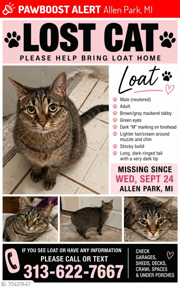 Lost Male Cat last seen Rosedale and Wick, Allen Park, MI 48101