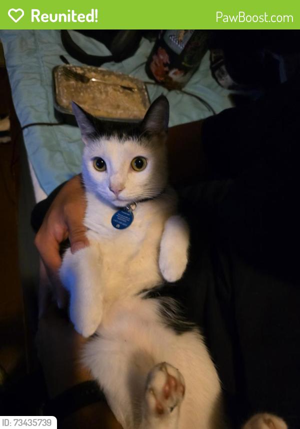 Reunited Male Cat last seen Hes been seen heading too the church next too our hse., Oxnard, CA 93033