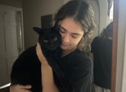Lost Male Cat last seen Walnut street, Millburn Ave, Millburn, NJ 07041