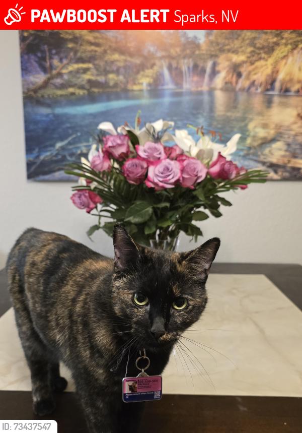 Lost Female Cat last seen Chilcoot Dr and Shadow Ln, Sparks, NV 89434