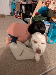 Reunited Female Dog last seen Walerga, Sacramento, CA 95842