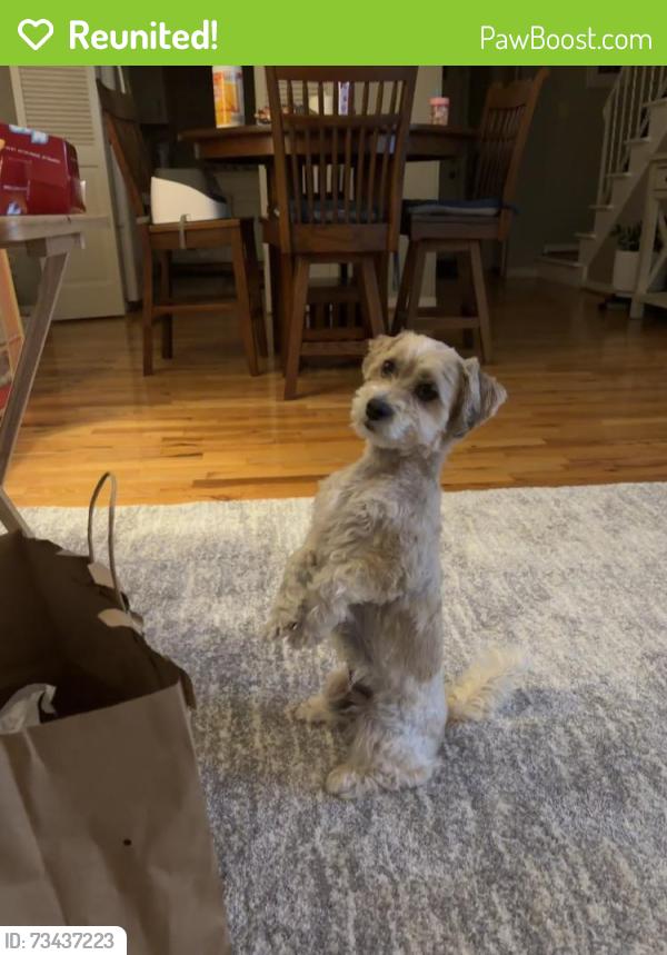 Reunited Male Dog last seen Near Dierker Rd, Upper Arlington, OH 43220, USA, Upper Arlington, OH 43220