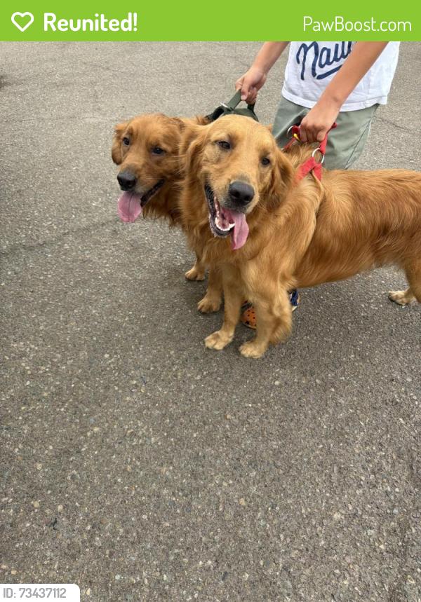 Reunited Unknown Dog last seen Oriole Place, Chula Vista, CA 91911