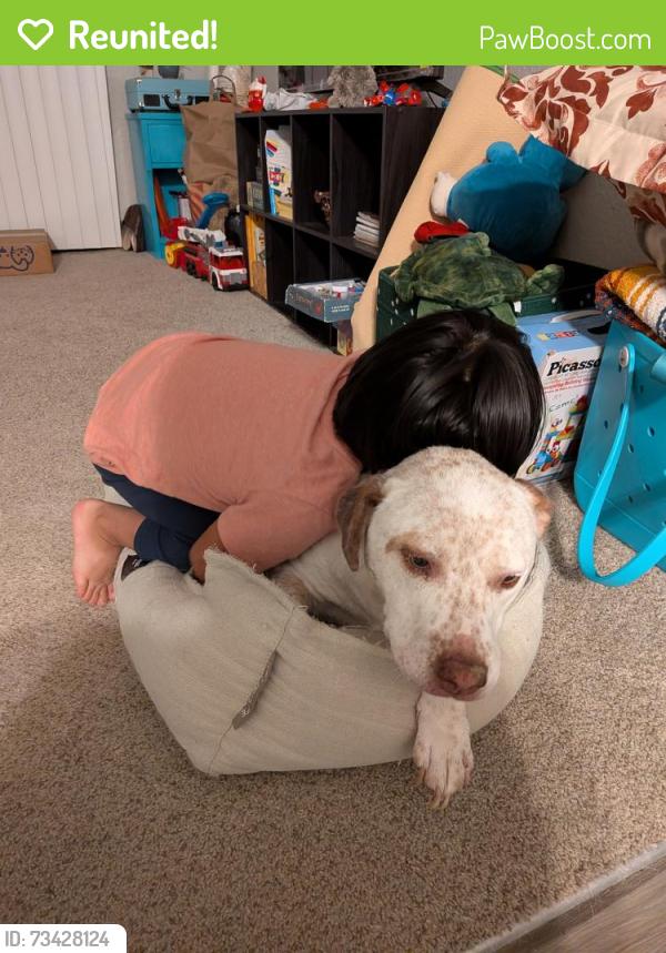 Reunited Female Dog last seen Walerga, Sacramento, CA 95842