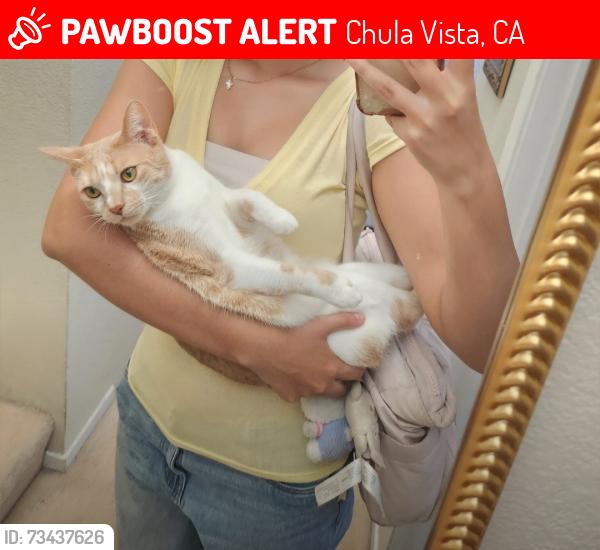 Lost Female Cat last seen Eastlake Trails, Chula Vista, CA 91915