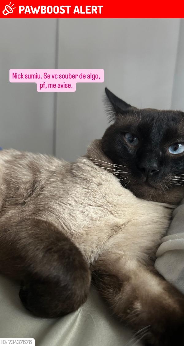 Lost Male Cat last seen Rua Herbert Moses, Jardim Monte Kemel, SP 05635-000