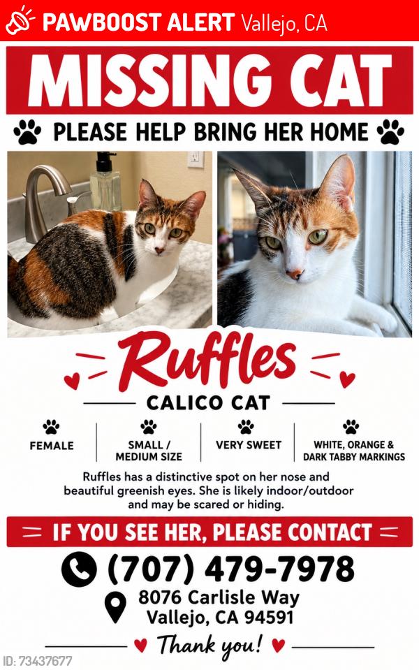 Lost Female Cat last seen Carlisle and Overlook, Vallejo, CA 94591