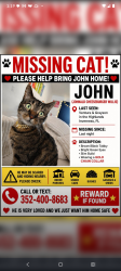 Lost Male Cat last seen Grayson and highlands, Inverness, FL 34452