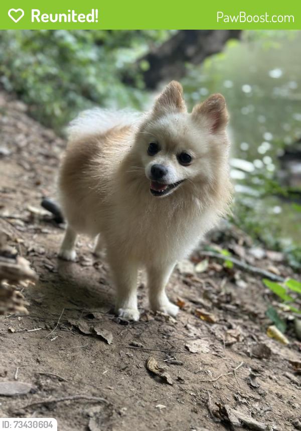 Reunited Male Dog last seen Martín Luther & S Beaman St, Washington, DC 20032