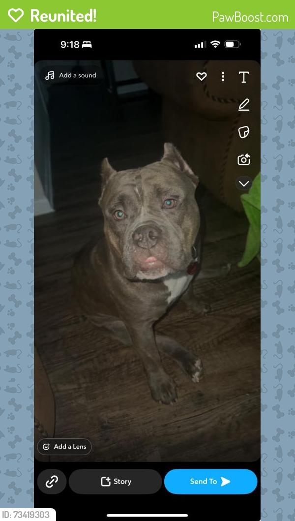 Reunited Male Dog last seen Tarrant, Al, Tarrant, AL 35217