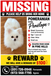 Lost Female Dog last seen Silver star road, Orlando, FL 32808