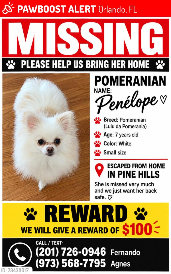 Lost Female Dog last seen Silver star road, Orlando, FL 32808