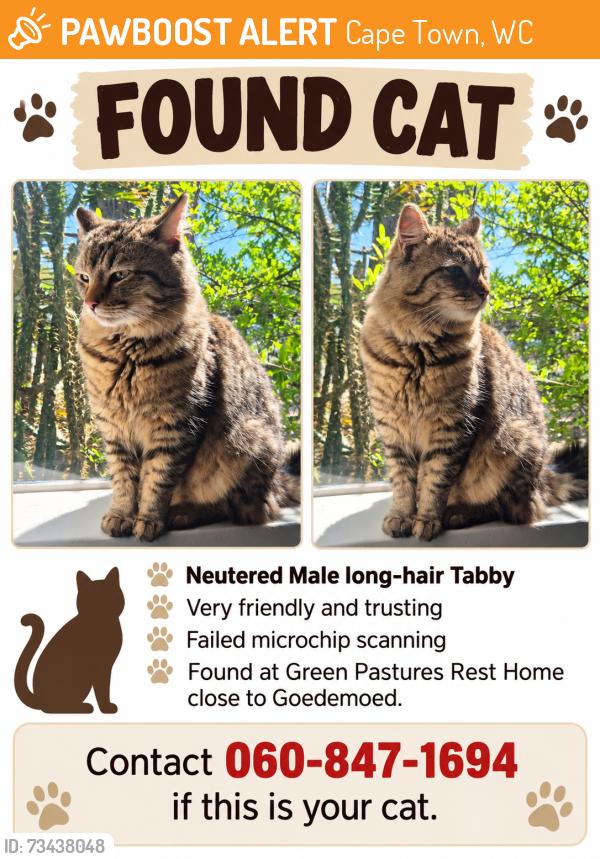 Found/Stray Male Cat last seen Green Pastures Rest Home, Cape Town, WC 7550