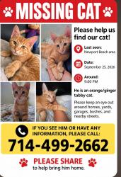 Lost Unknown Cat last seen Anaheim plaza, Anaheim, CA 92815