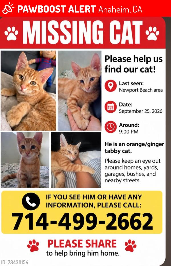 Lost Unknown Cat last seen Anaheim plaza, Anaheim, CA 92815