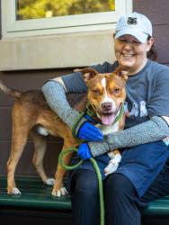 Shelter Stray Male Dog last seen Whites Ridge and Whites Mill Road, 30034, GA, 3280 Chamblee Dunwoody Rd, Chamblee, GA 30341, USA