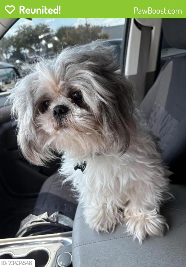 Reunited Male Dog last seen Mango st and Goya, Houston, TX 77075