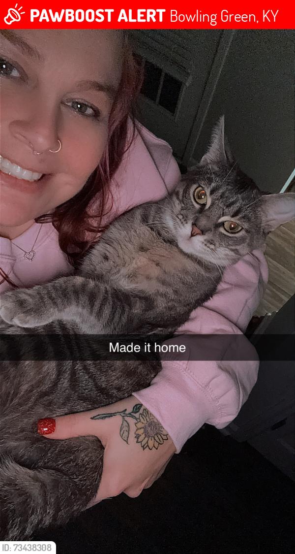 Lost Female Cat last seen Near pascoe blvd, Bowling Green, KY 42104