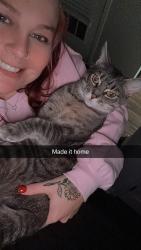 Lost Female Cat last seen Near pascoe blvd, Bowling Green, KY 42104