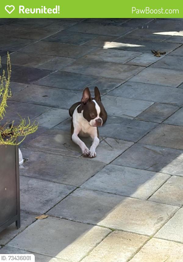 Reunited Male Dog last seen Wayside Road Rome Ga, Rome, GA 30161