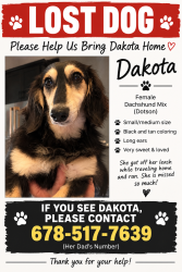 Reunited Female Dog last seen Off of 75 in Jackson Georgia, Jackson, GA 30233