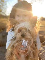 Lost Male Dog last seen Near Ellie Jane Lane Pflugerville, Texas 78660, Pflugerville, TX 78660